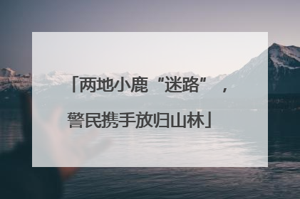 两地小鹿“迷路”，警民携手放归山林