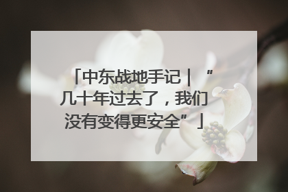 中东战地手记｜“几十年过去了，我们没有变得更安全”
