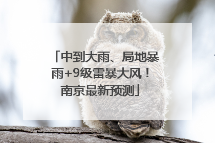 中到大雨、局地暴雨+9级雷暴大风！南京最新预测