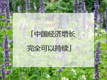 中国经济增长完全可以持续