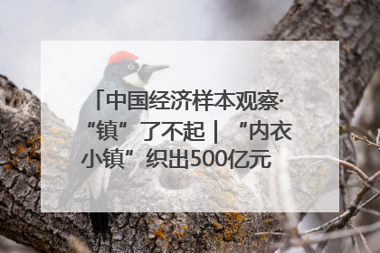 中国经济样本观察·“镇”了不起｜“内衣小镇”织出500亿元“里子产业”