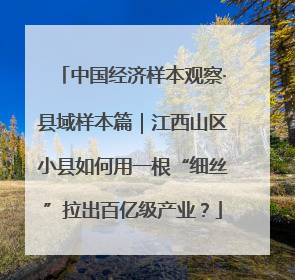 中国经济样本观察·县域样本篇｜江西山区小县如何用一根“细丝”拉出百亿级产业？
