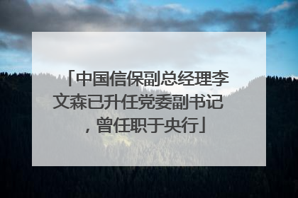 中国信保副总经理李文森已升任党委副书记，曾任职于央行
