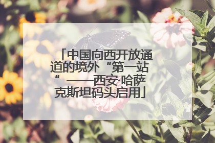 中国向西开放通道的境外“第一站”——西安·哈萨克斯坦码头启用