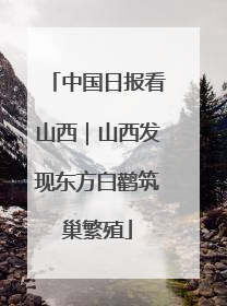 中国日报看山西｜山西发现东方白鹳筑巢繁殖
