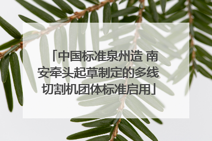 中国标准泉州造 南安牵头起草制定的多线切割机团体标准启用