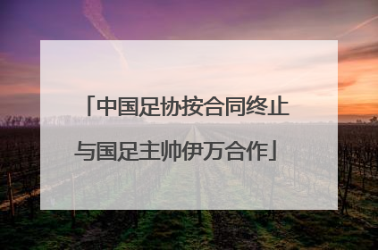 中国足协按合同终止与国足主帅伊万合作