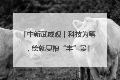 中新武威观｜科技为笔，绘就夏粮“丰”景