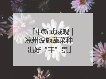 中新武威观｜凉州设施蔬菜种出好“丰”景