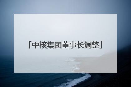 中核集团董事长调整