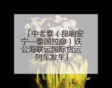 中老泰（昆明安宁—泰国拉廊）铁公海联运国际货运列车发车