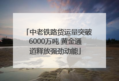 中老铁路货运量突破6000万吨 黄金通道释放强劲动能