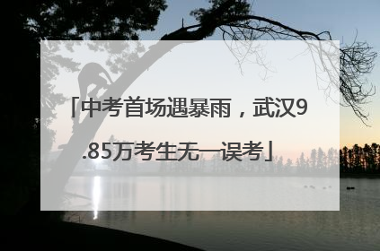中考首场遇暴雨，武汉9.85万考生无一误考