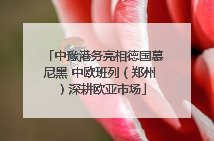 中豫港务亮相德国慕尼黑 中欧班列（郑州）深耕欧亚市场