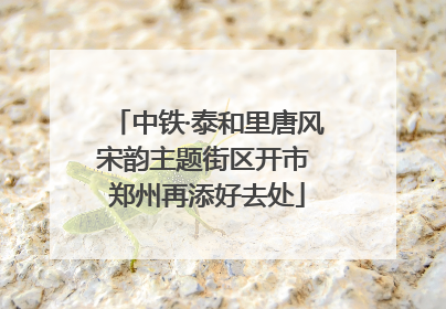 中铁·泰和里唐风宋韵主题街区开市 郑州再添好去处
