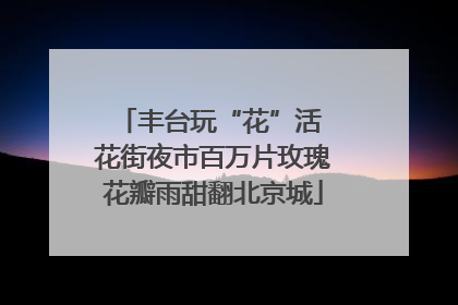 丰台玩“花”活 花街夜市百万片玫瑰花瓣雨甜翻北京城
