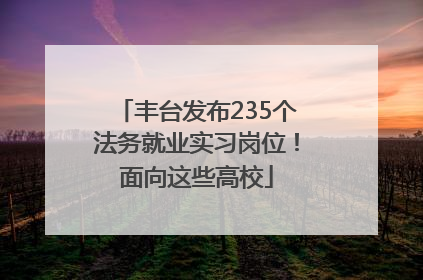 丰台发布235个法务就业实习岗位！面向这些高校