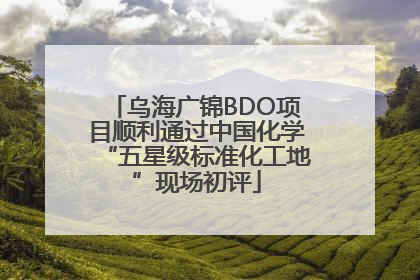 乌海广锦BDO项目顺利通过中国化学“五星级标准化工地”现场初评