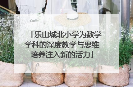 乐山城北小学为数学学科的深度教学与思维培养注入新的活力