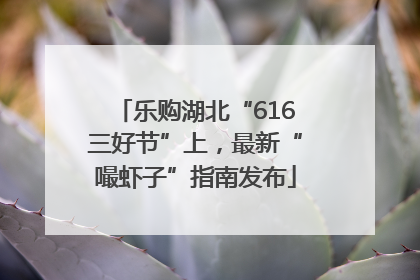 乐购湖北“616三好节”上，最新“嘬虾子”指南发布