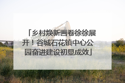 乡村焕新画卷徐徐展开！谷城石花镇中心公园奋进建设初显成效