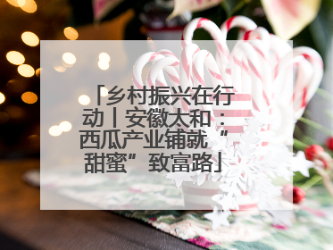 乡村振兴在行动丨安徽太和：西瓜产业铺就“甜蜜”致富路