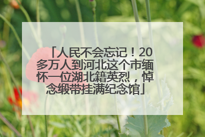 人民不会忘记！20多万人到河北这个市缅怀一位湖北籍英烈，悼念缎带挂满纪念馆