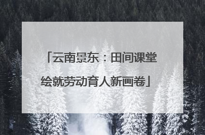 云南景东：田间课堂绘就劳动育人新画卷