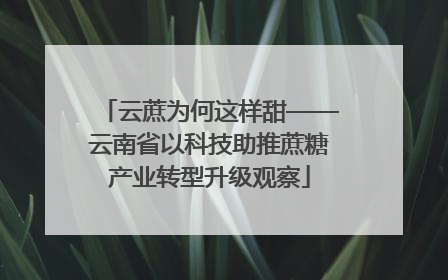 云蔗为何这样甜——云南省以科技助推蔗糖产业转型升级观察