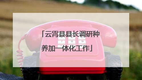 云霄县县长调研种养加一体化工作