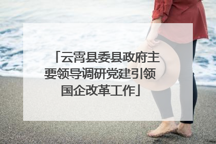 云霄县委县政府主要领导调研党建引领国企改革工作