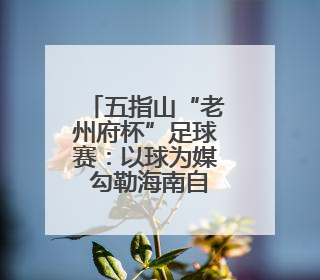 五指山“老州府杯”足球赛：以球为媒 勾勒海南自贸港活力新画卷