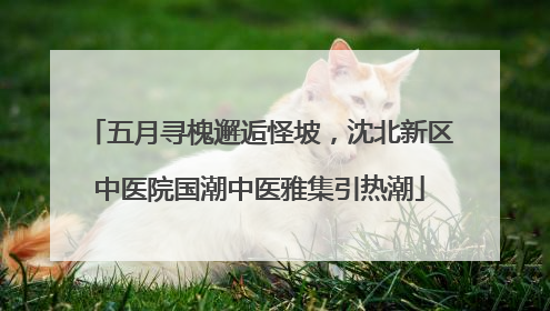 五月寻槐邂逅怪坡，沈北新区中医院国潮中医雅集引热潮