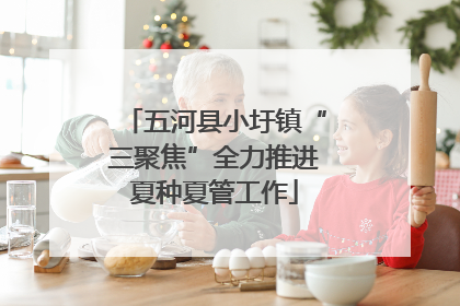 五河县小圩镇“三聚焦”全力推进夏种夏管工作