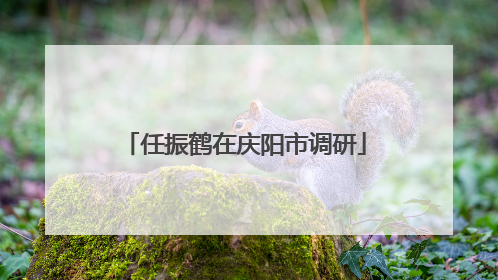 任振鹤在庆阳市调研