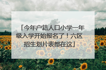 今年户籍人口小学一年级入学开始报名了！六区招生划片表都在这