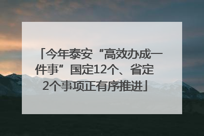 今年泰安“高效办成一件事”国定12个、省定2个事项正有序推进