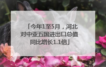 今年1至5月，河北对中亚五国进出口总值同比增长1.1倍