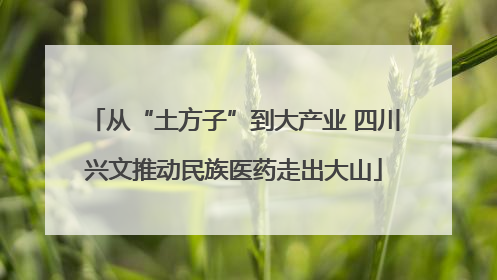从“土方子”到大产业 四川兴文推动民族医药走出大山