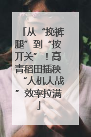 从“挽裤腿”到“按开关”！高青稻田插秧“人机大战”效率拉满