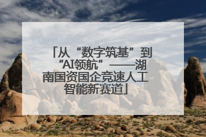 从“数字筑基”到“AI领航”——湖南国资国企竞速人工智能新赛道