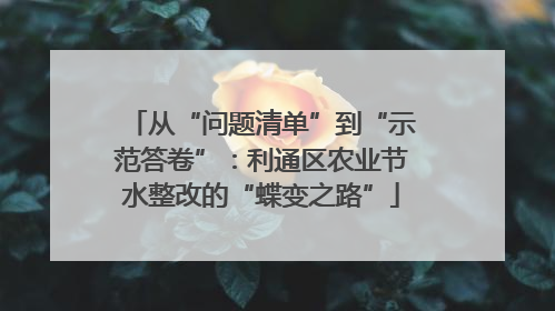 从“问题清单”到“示范答卷”：利通区农业节水整改的“蝶变之路”