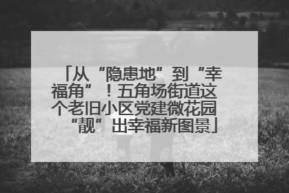 从“隐患地”到“幸福角”！五角场街道这个老旧小区党建微花园“靓”出幸福新图景