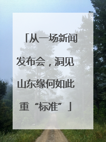 从一场新闻发布会，洞见山东缘何如此重“标准”