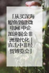 从买深海鳀鱼到建微电网 中企加速掘金非洲现代化｜直击中非经贸博览会