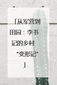 从军营到田园：李书记的乡村 “变形记”