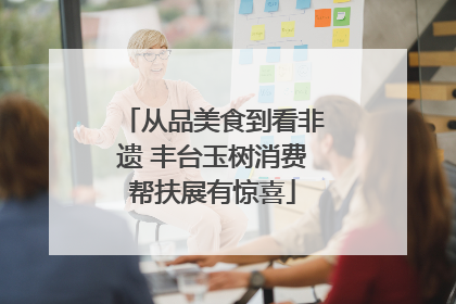 从品美食到看非遗 丰台玉树消费帮扶展有惊喜