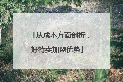 从成本方面剖析，好特卖加盟优势
