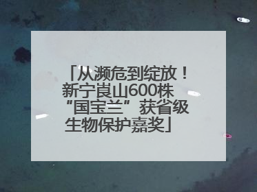 从濒危到绽放！新宁崀山600株“国宝兰”获省级生物保护嘉奖