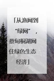 从渔网到“绿网”，蔡甸桐湖网住绿色生态经济